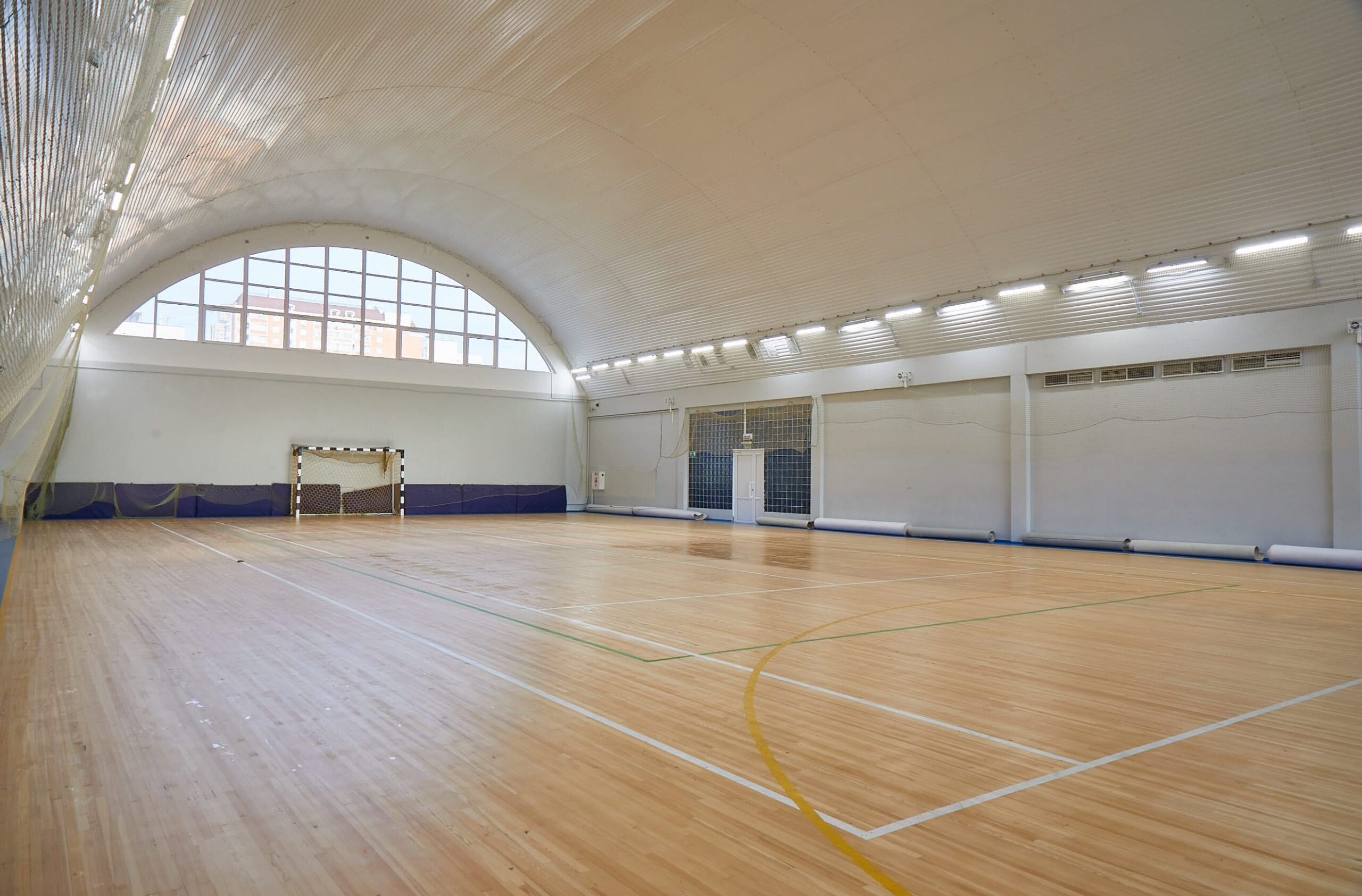 Белые медведи