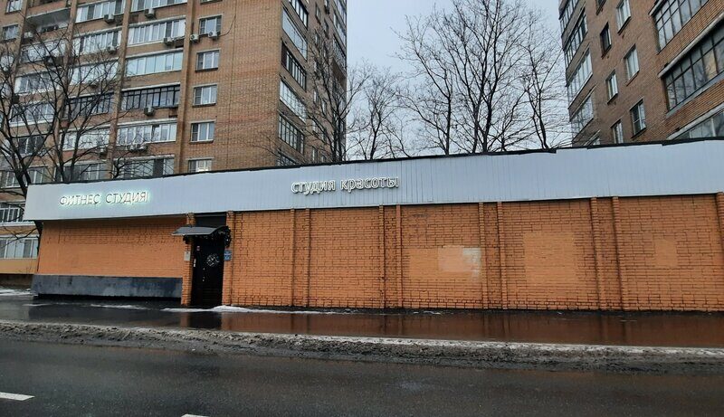 Alfa & Bungee Studio