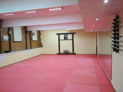 Айкидо УндоСаи