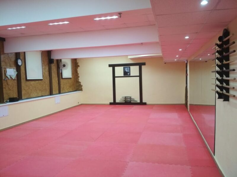 Айкидо УндоСаи