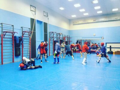 Боевое самбо