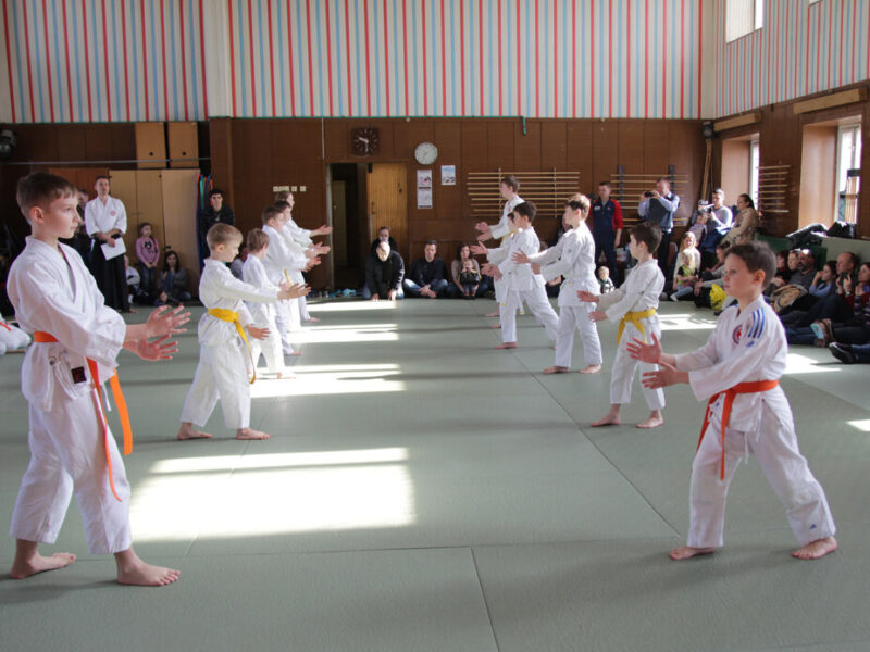 Айкидо Ёсинкан