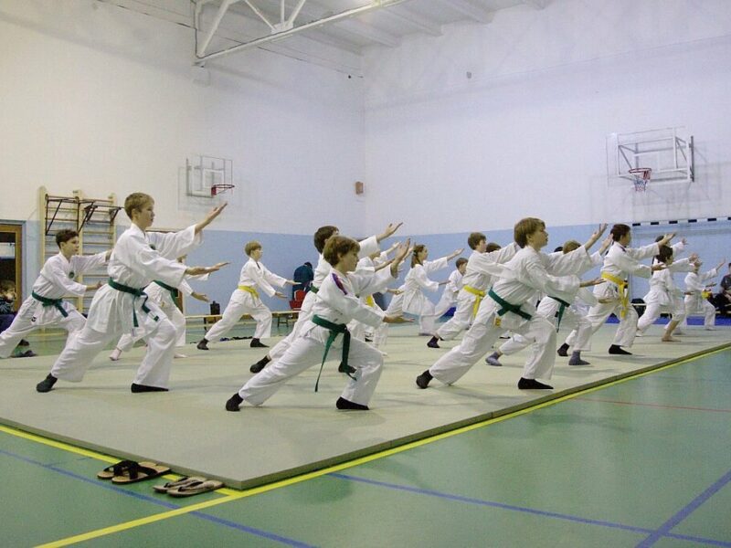 Айкидо Sengenkan Showakan Dojo