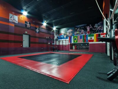 Бойцовский клуб Реванш