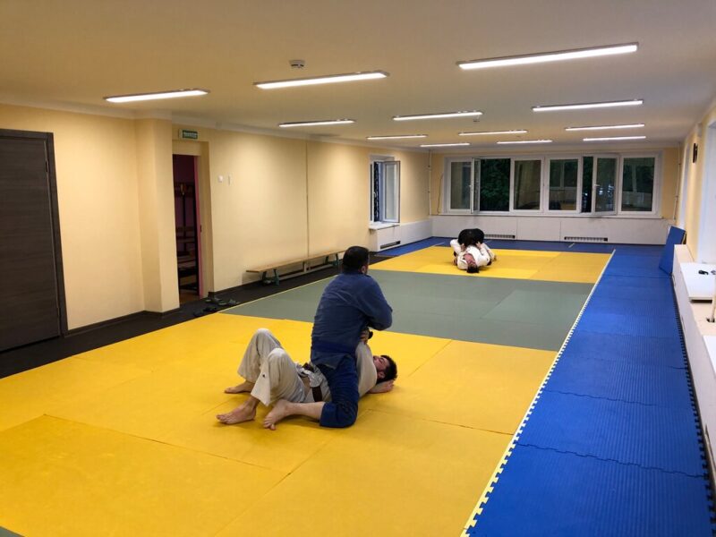 Бразильское Джиу-Джитсу