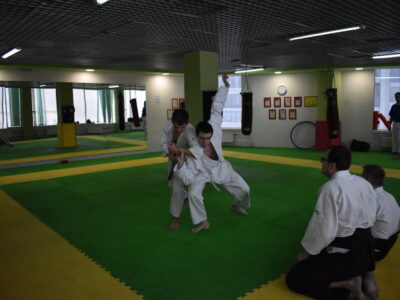 Айкидо Горный поток