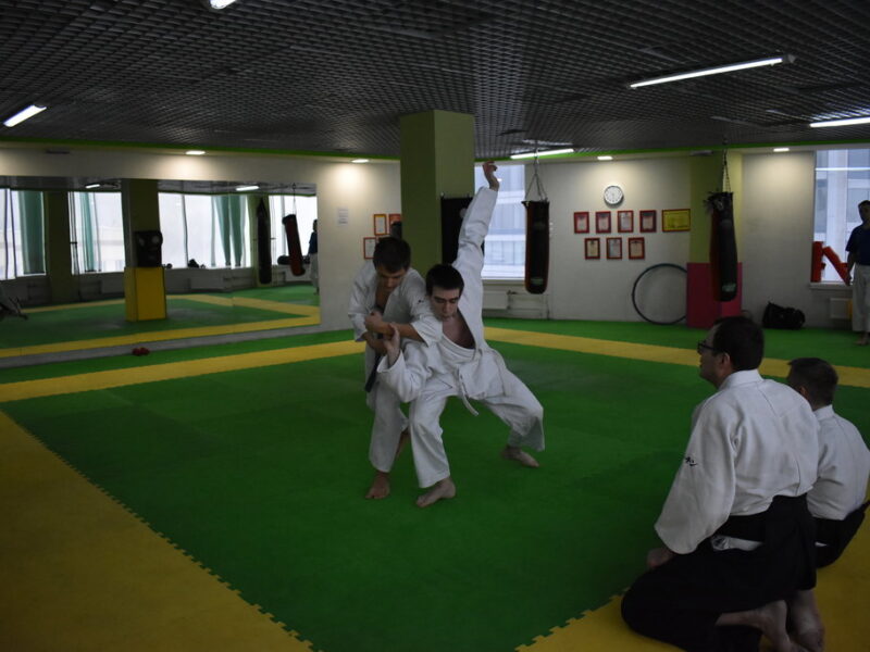 Айкидо Горный поток