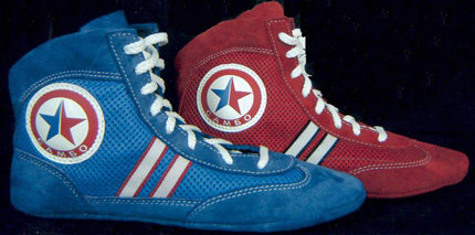 Клуб самбо МГУ имени М. В. Ломоносова