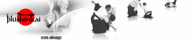 Дзикисинкай