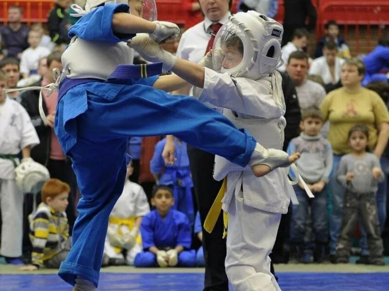 Кудо клуб Титан