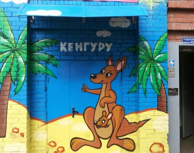 Кенгуру