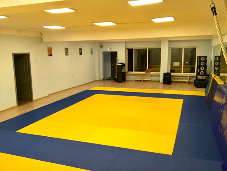 Дзюдо Самбо