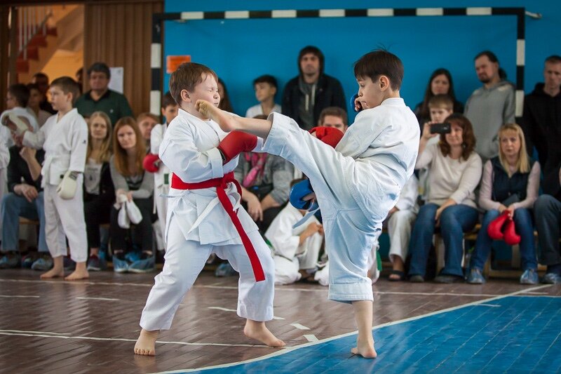 Кэмпо-клуб Предел