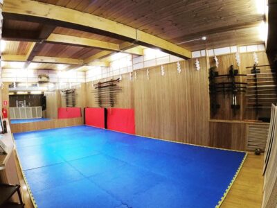 Окинавское Годзю-рю каратэ Тори