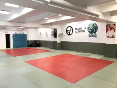 Годжира джиу-джитсу