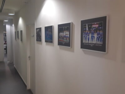 МГО ВФСО Динамо