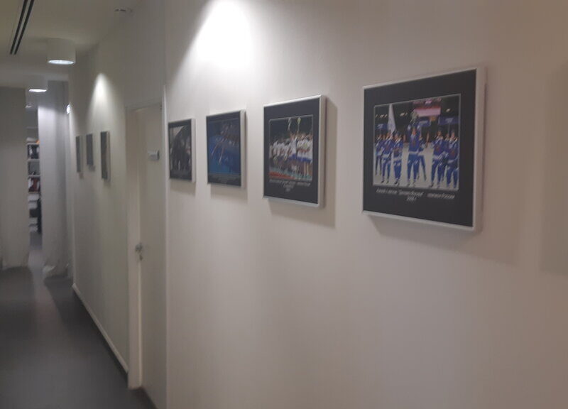 МГО ВФСО Динамо