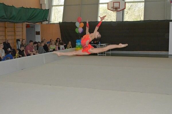 Международная академия спорта Ирины Винер