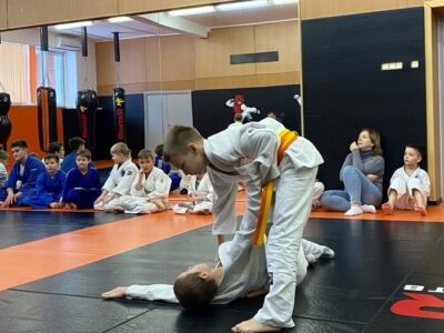 Клуб единоборств Fire Lions