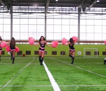 Группа поддержки Багира