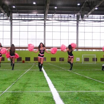 Группа поддержки Багира