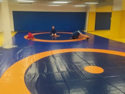 Империя Единоборств