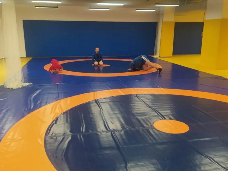 Империя Единоборств