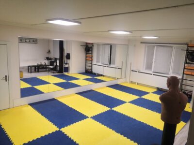 Клуб Цигун, Кунфу, Айкидо