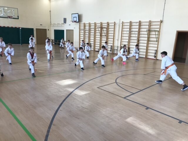 Каратэ Киокусинкай СК. Ямакаси