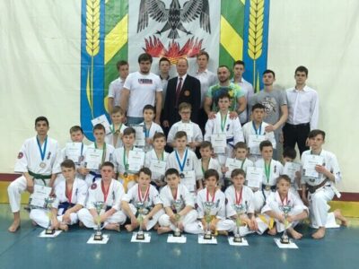 Киокусинкай каратэ Сейкен силикатная