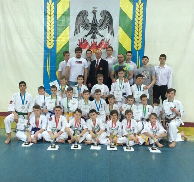 Киокусинкай каратэ Сейкен силикатная