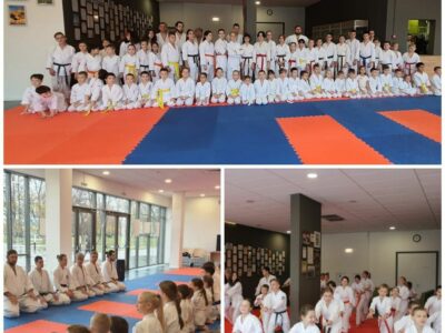 Молодежная Федерация Айкидо России