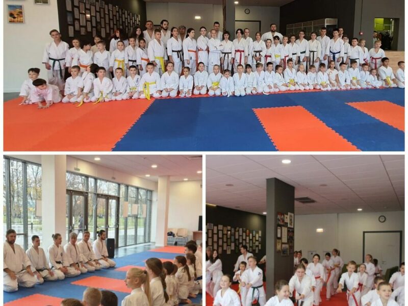 Молодежная Федерация Айкидо России