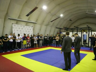 Золотой Витязь единоборства