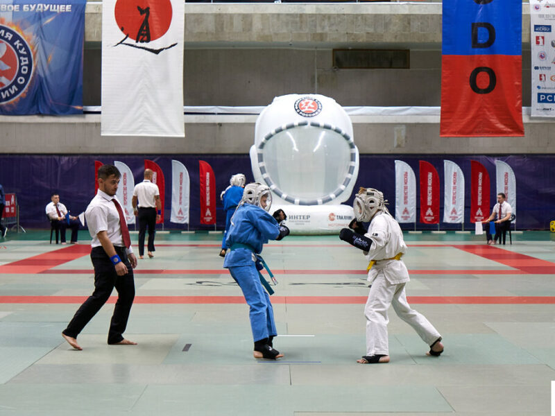 Лаборатория Кудо