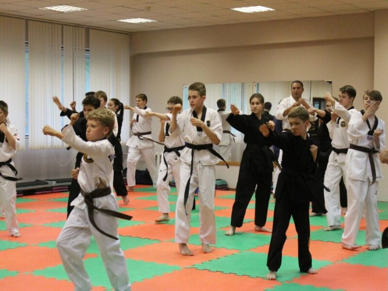 Московская Студия Боевых Искусств