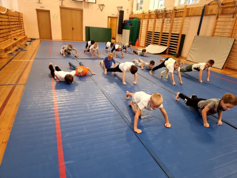 Лидер каратэ