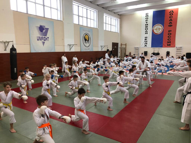 Олимпийское каратэ