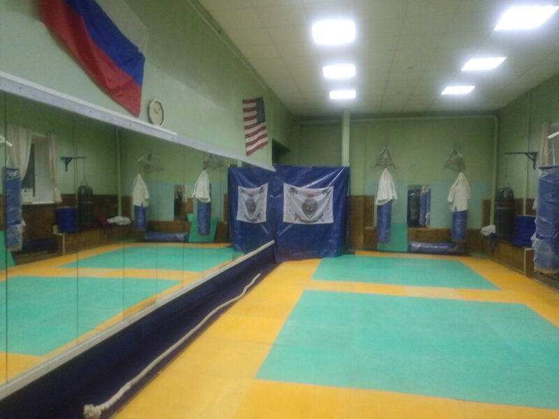 Зал боевых искусств Лев