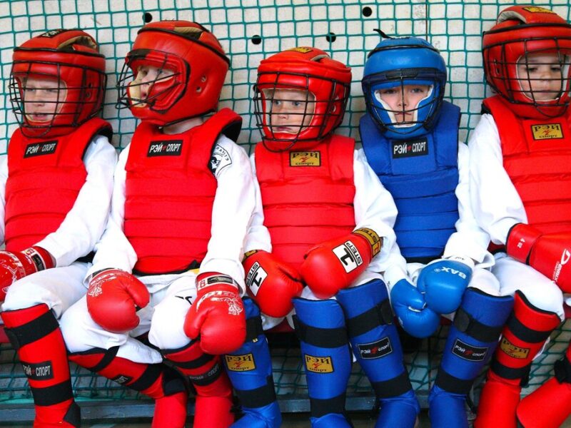 Федерация каратэ Нарайана