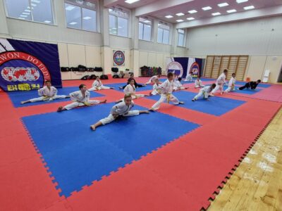 Феникс тхэквондо