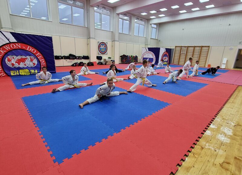 Феникс тхэквондо