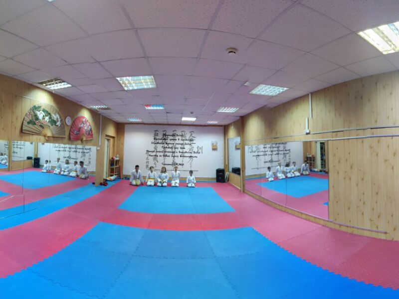 Союз Каратэ-до