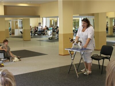 СпортШоуКлуб