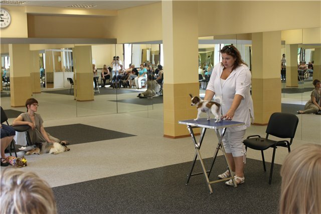 СпортШоуКлуб