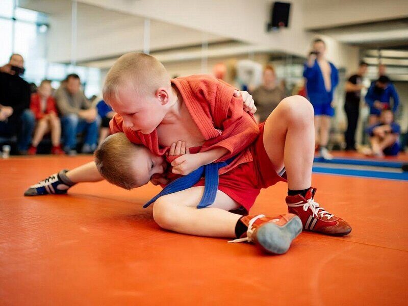 Секция Самбо и Бокса