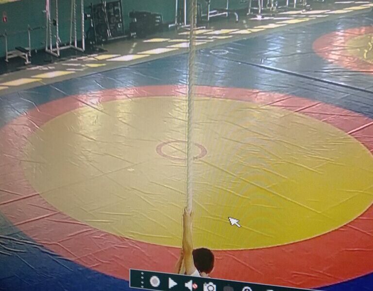 Секция самбо