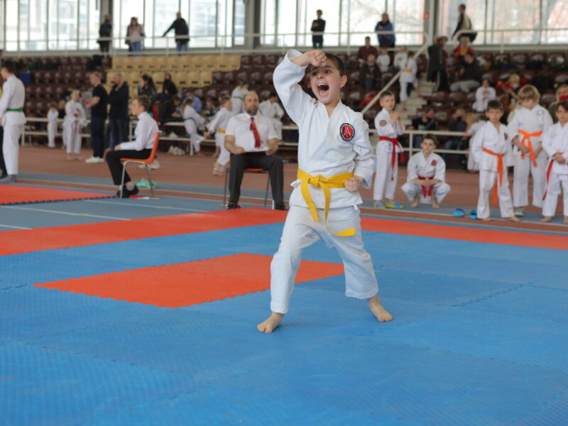 Российская академия Каратэ-До Шотокан клуб Андрей Боголюбский