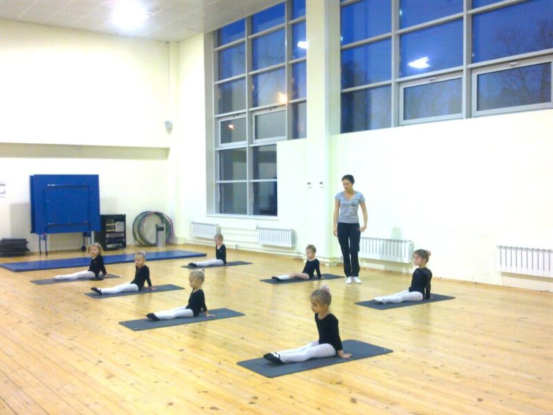 СК Весенняя ласточка