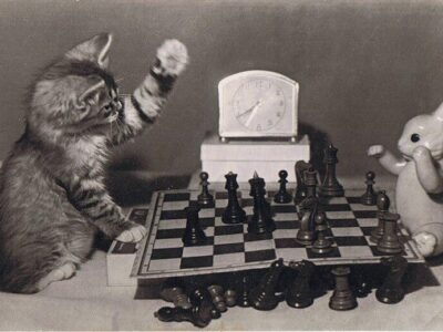 Свободные шахматы